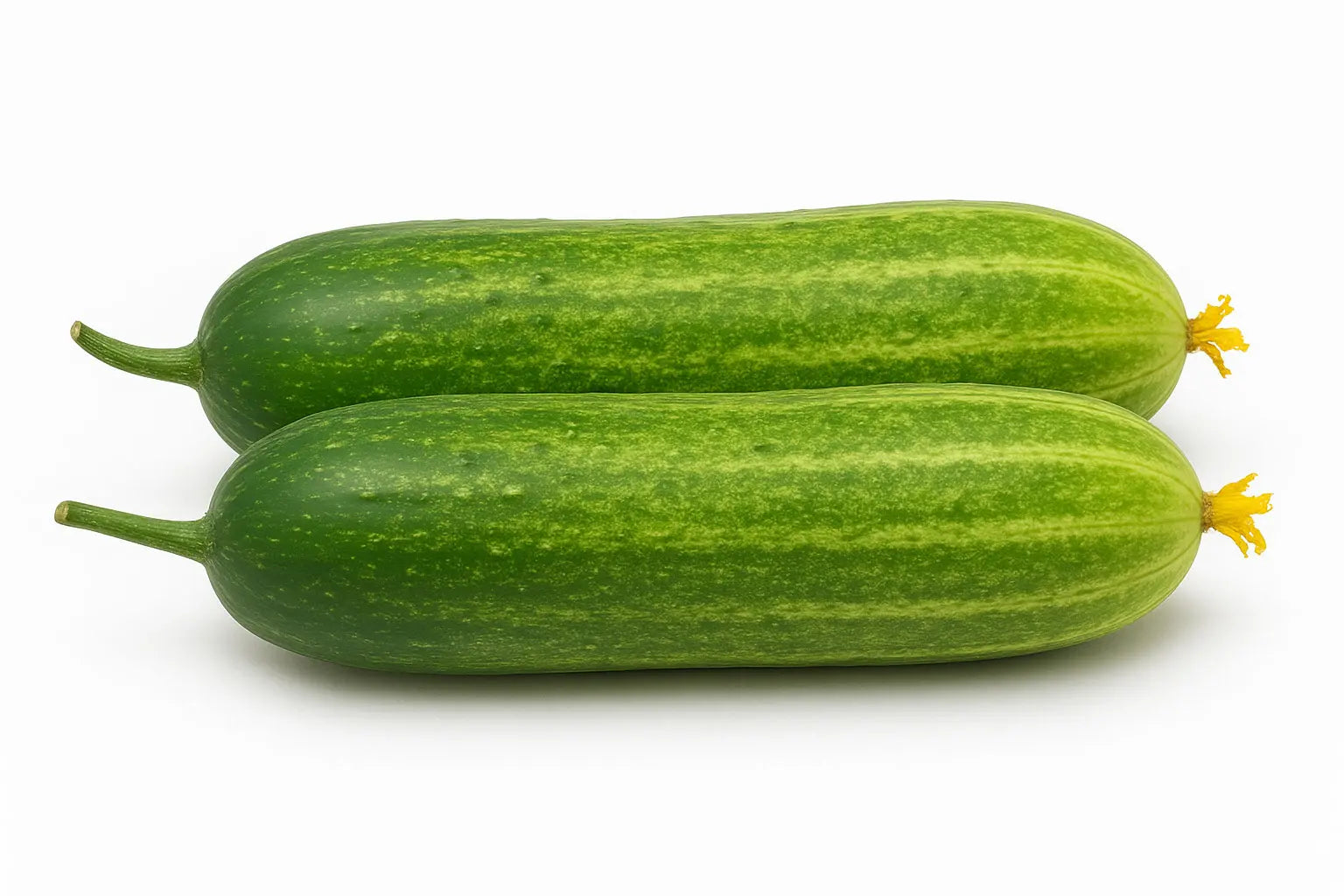 Shosha (Cucumber)
