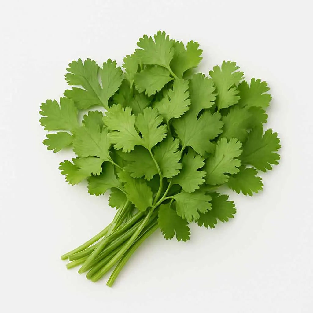 Coriander Leaves (Dhonia Pata)